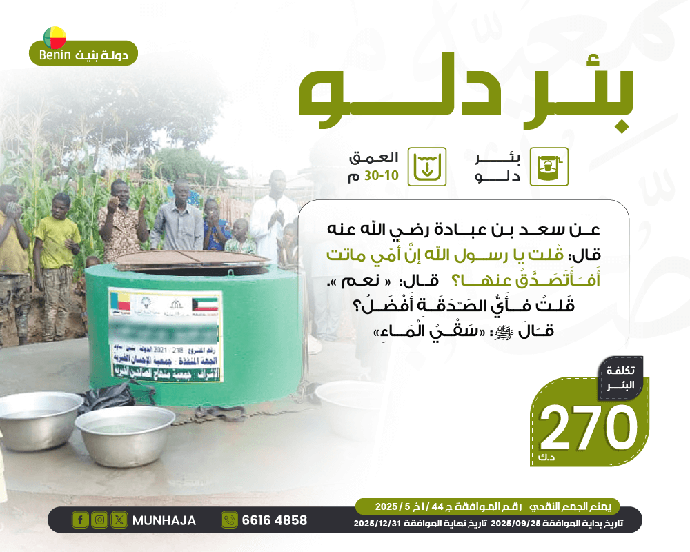 صورة بئر دلــو