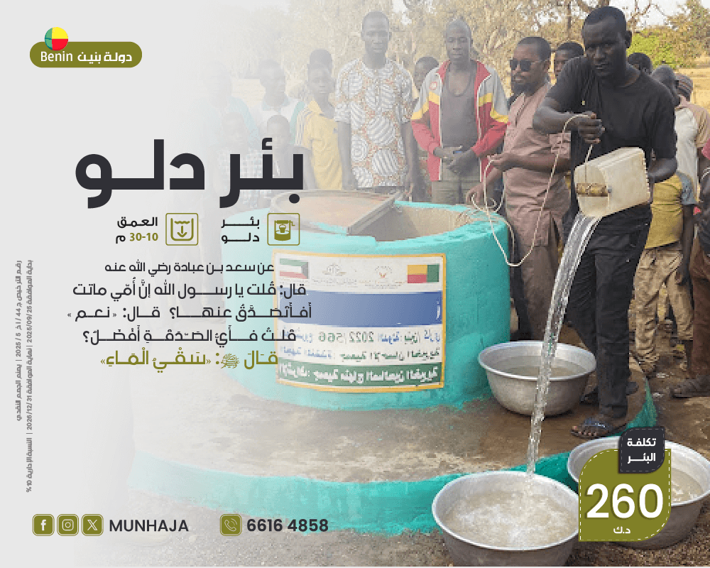 صورة بئر دلــو